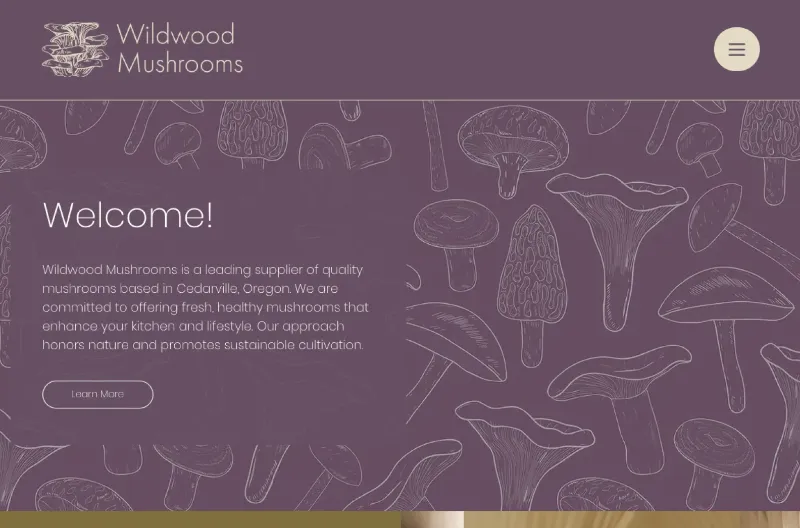 Mushroom Seller