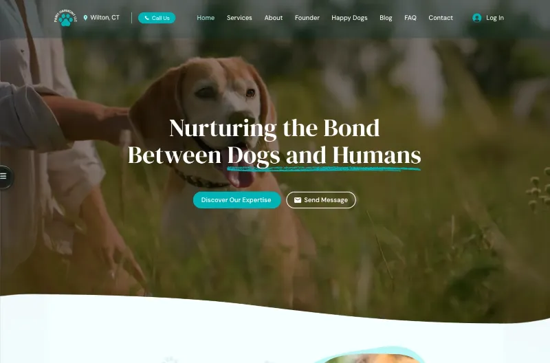 Dog Training