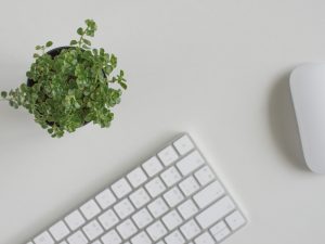 clavier blanc d'ordinateur design sur fond blanc avec une plante verte