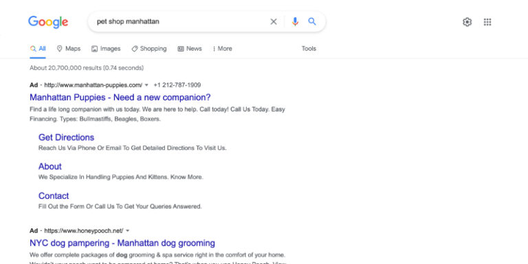Google search showing results